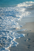 Luke ONeill - Landscape-4