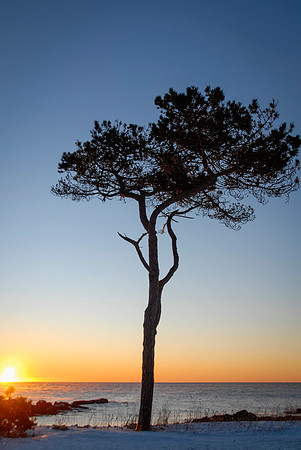 Luke ONeill - Landscape-6