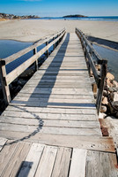 Luke ONeill - Landscape-7