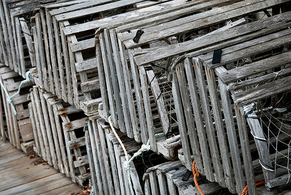 Luke ONeill - Landscape-12