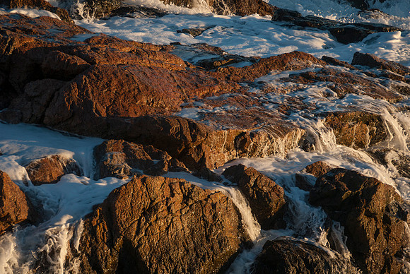 Luke ONeill - Landscape-15