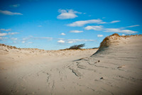 Luke ONeill - Landscape-19