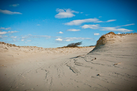 Luke ONeill - Landscape-19