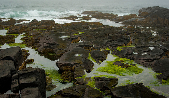 Luke ONeill - Landscape-24
