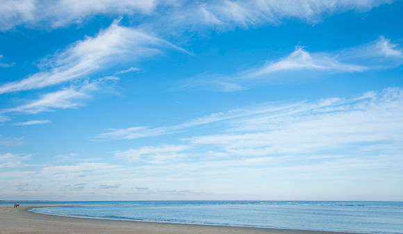 Luke ONeill - Landscape-29