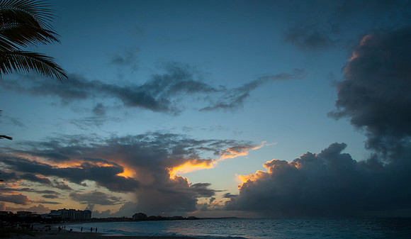 Luke ONeill - Landscape-28