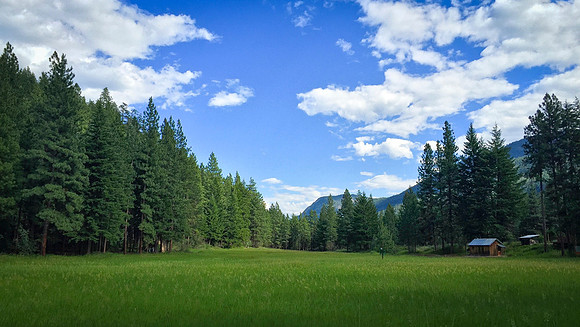 Luke ONeill - Landscape-40