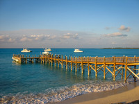 Luke ONeill - Travel-2