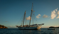 Luke ONeill - Travel-10