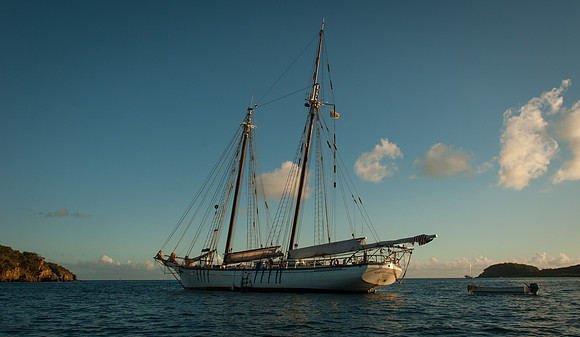 Luke ONeill - Travel-10