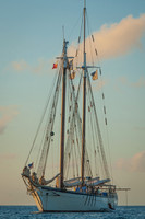 Luke ONeill - Travel-12