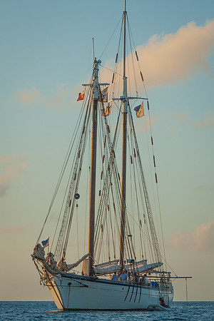Luke ONeill - Travel-12