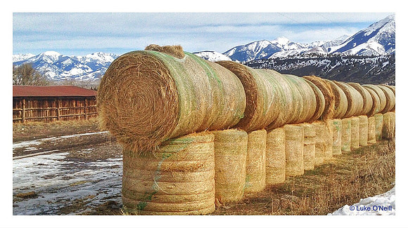 Luke ONeill - Artistic - Zenfolio-36