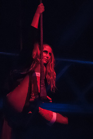 Luke ONeill - Circus - Zenfolio-30
