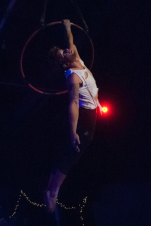 Luke ONeill - Circus - Zenfolio-31