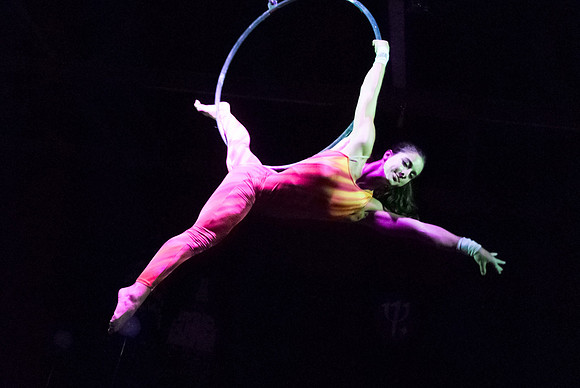 Luke ONeill - Circus - Zenfolio-3