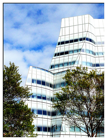 Luke ONeill - Architecture - Zenfolio-25