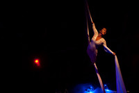 Luke ONeill - Circus - Zenfolio-34